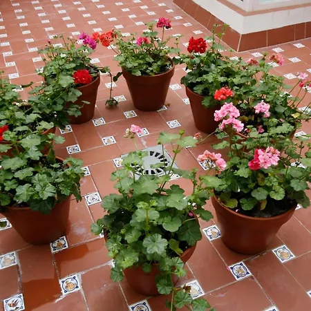 Cruces Apartamento Sevilha